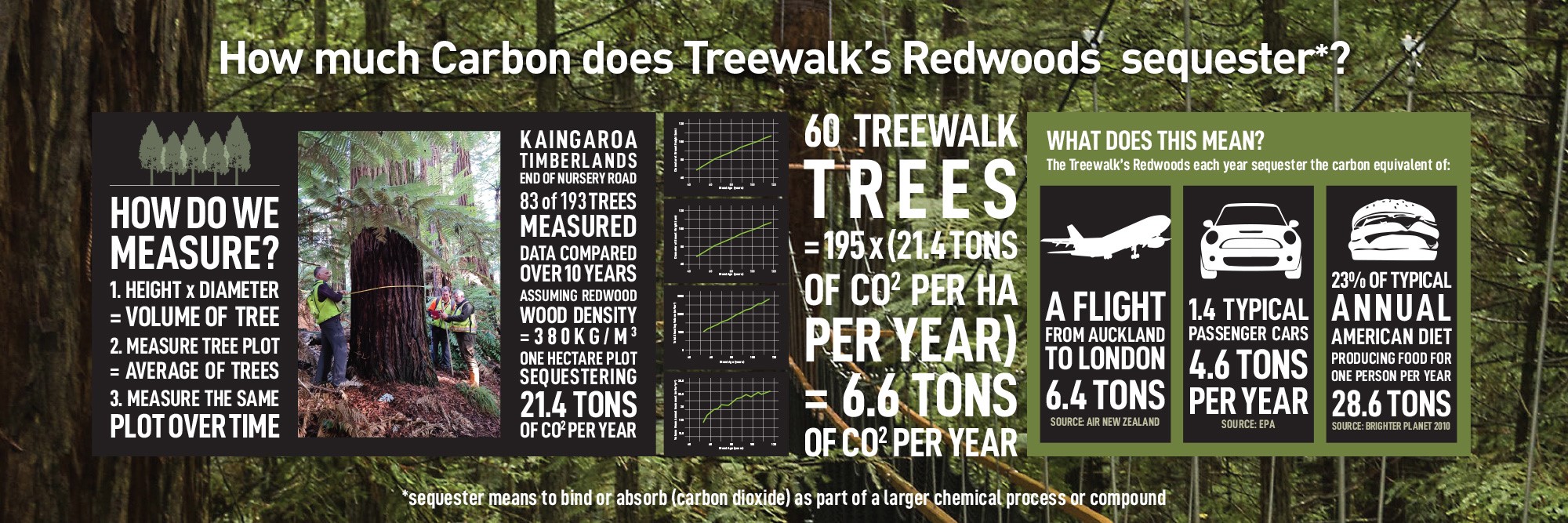 How much carbon does Treewalk sequester?